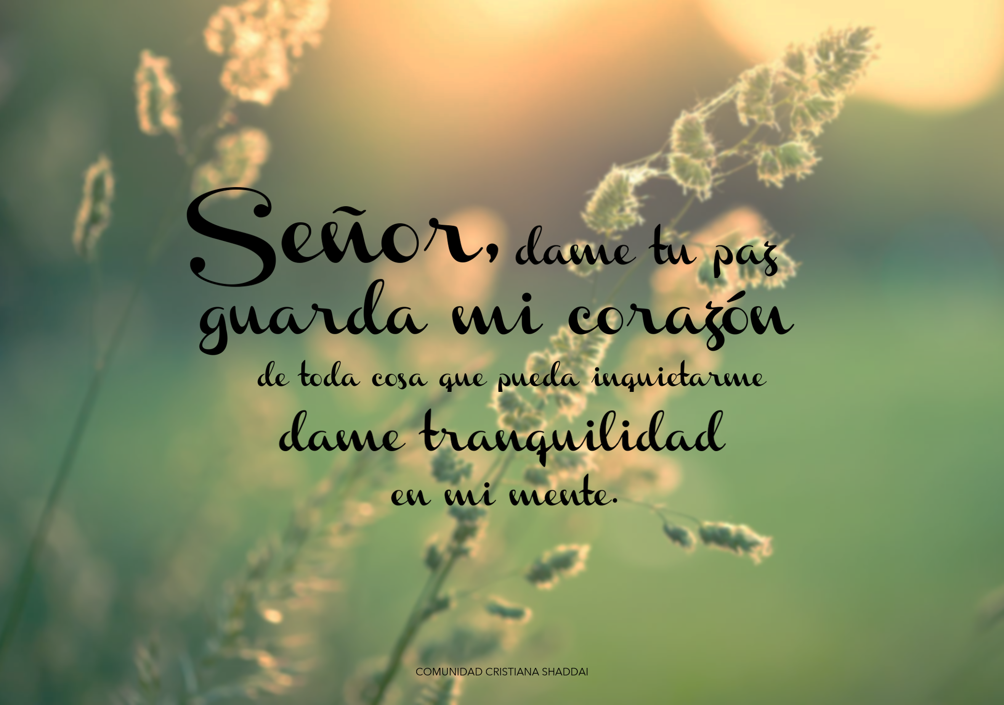 FILIPENSES 4:7