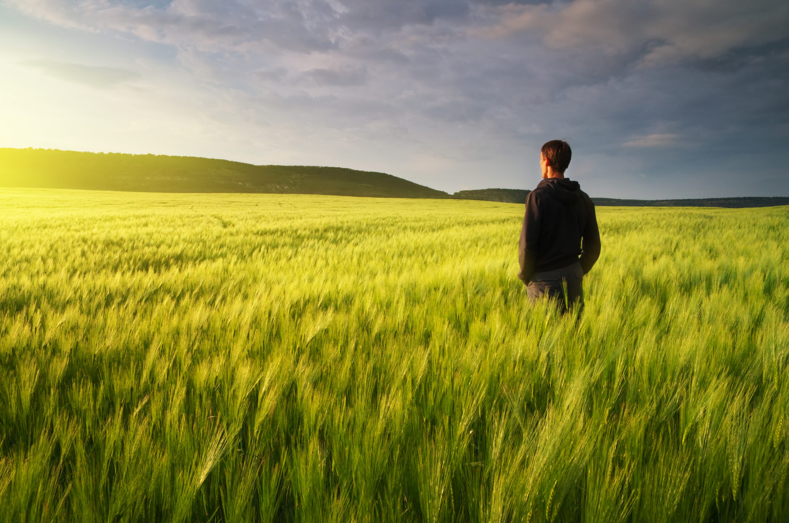 Man in meadow green meadow of wheat. Conceptual scene.