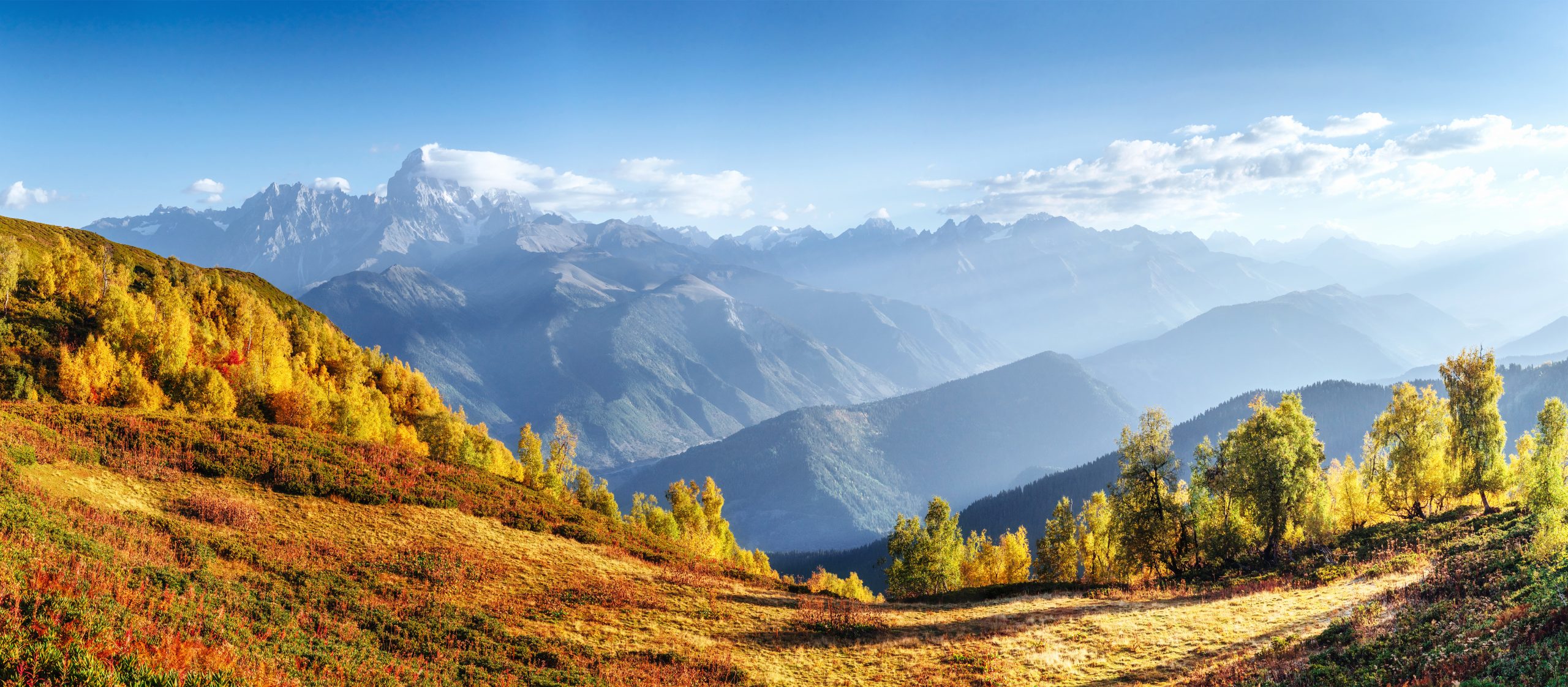 Fantastic forest in Carpathian Ukraine. There comes a golden autumn in the valleys. The red color is very beautiful beech forest