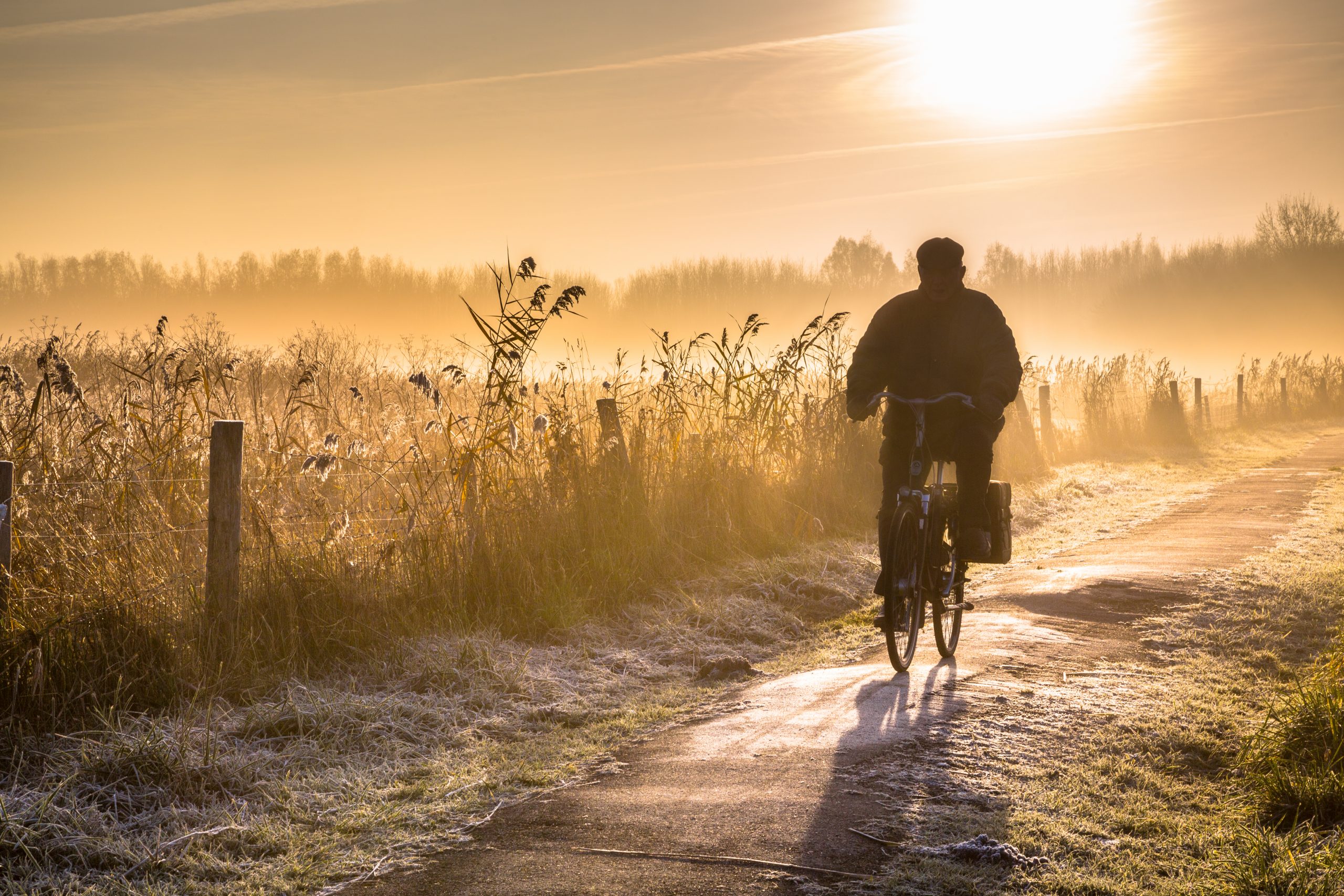 Silhouette of senior cyclist through hazy early morning rural landscape at sunrise