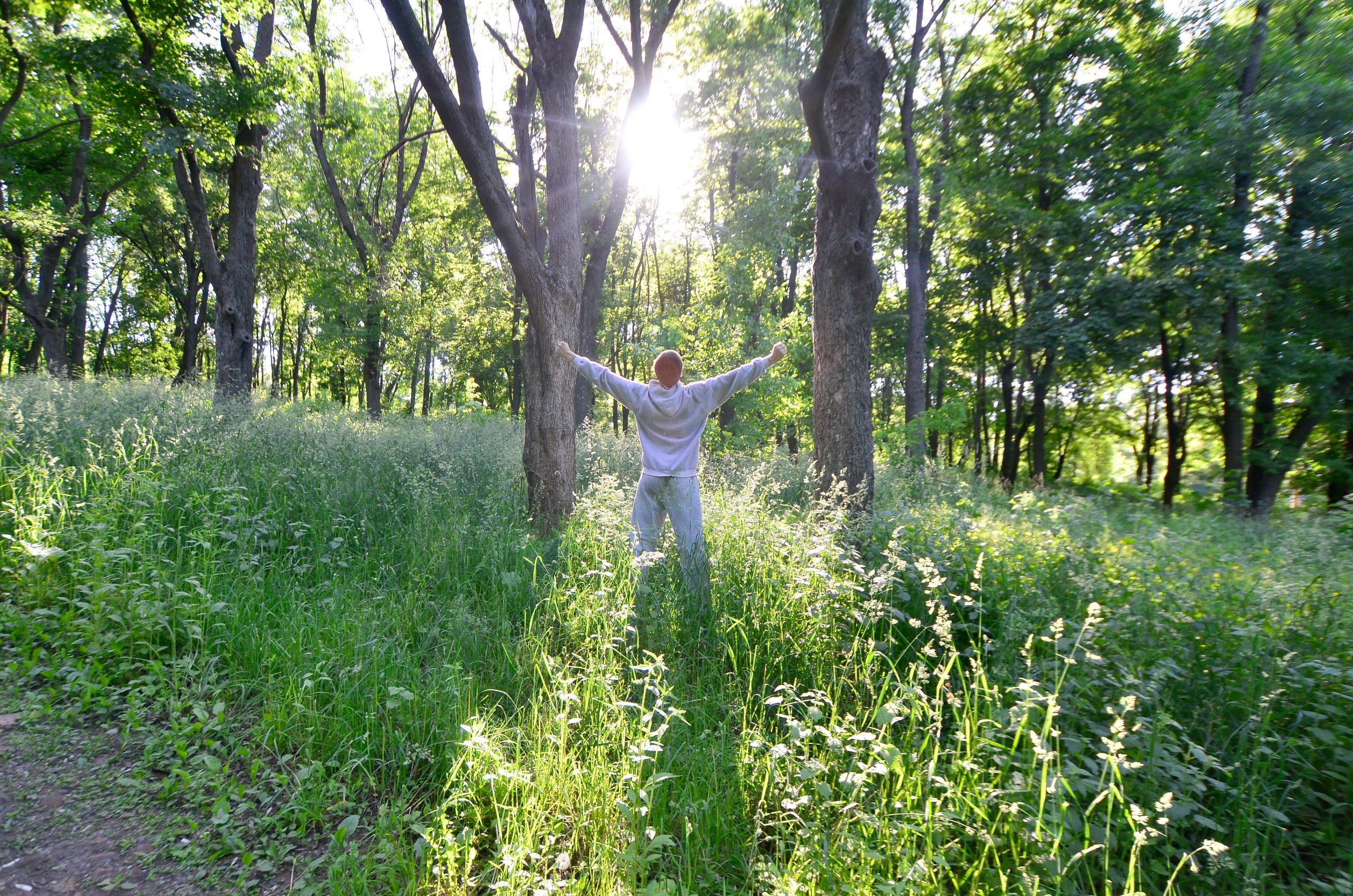 A young guy in a gray sports suit rejoices in the rising of the sun among the trees in the forest. Recreation during a sports run in the open air forest. The delight of a beautiful dawn