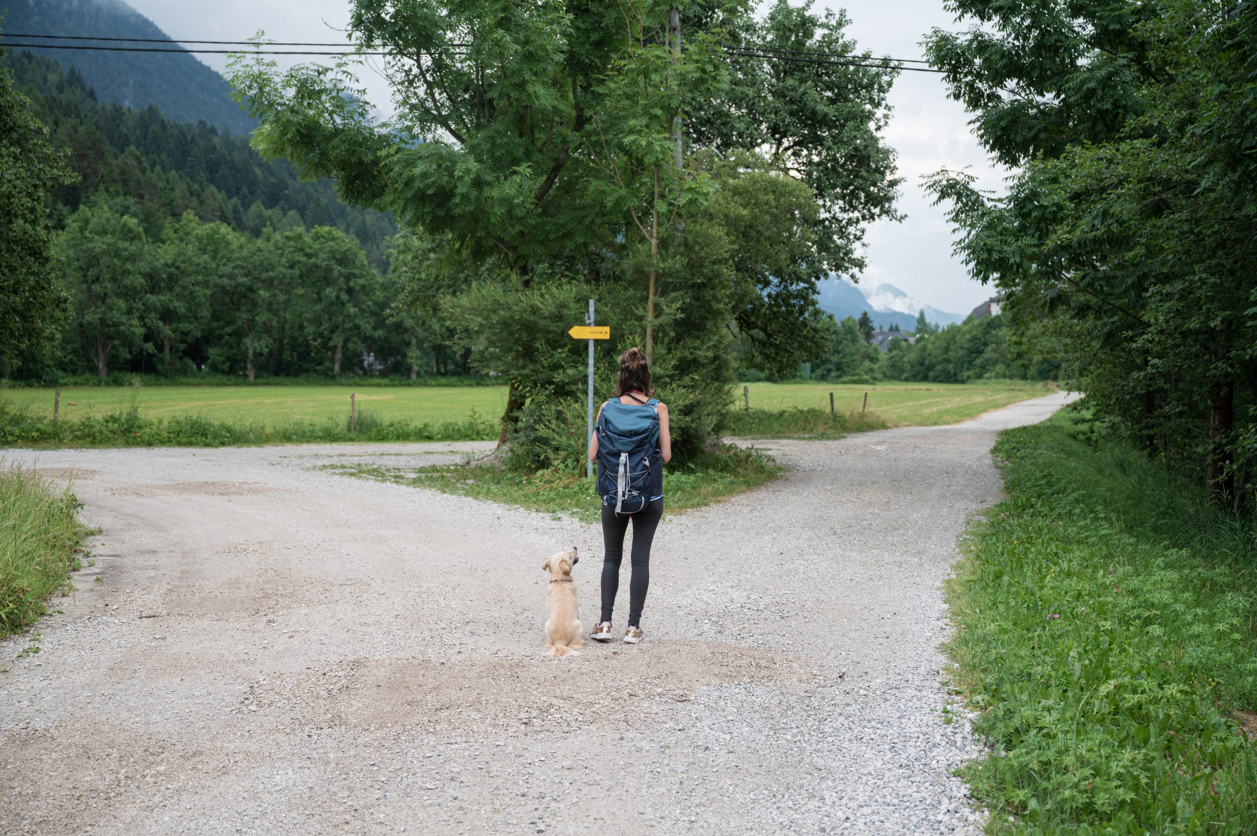 View from behind of a young woman with her dog standing at a crossing of trails in beautiful green summer nature, deciding which way to go.