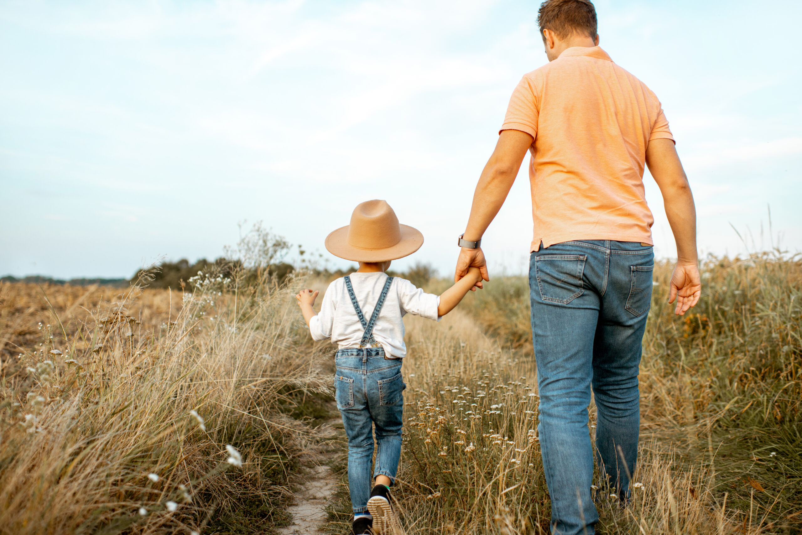 Father and young son walking keeping hands together on the field during the summer activity, back view