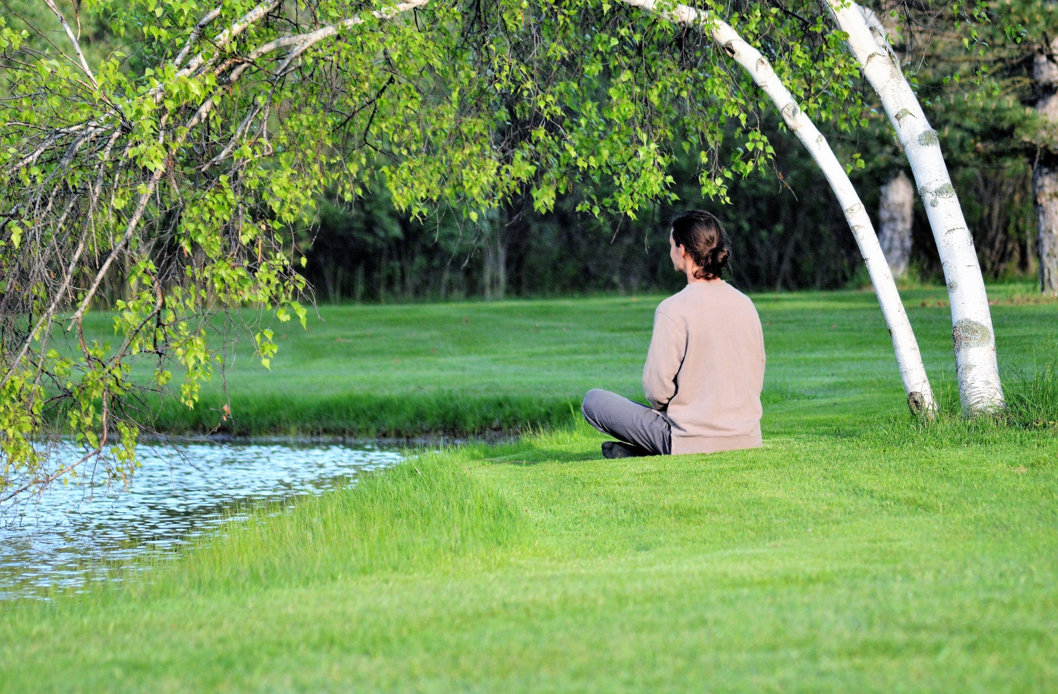 a-person-sitting-near-a-pond-under-a-birch-tree-enjoying-yoga-meditation-yoga-meditation-outdoors_t20_a7poQQ 2