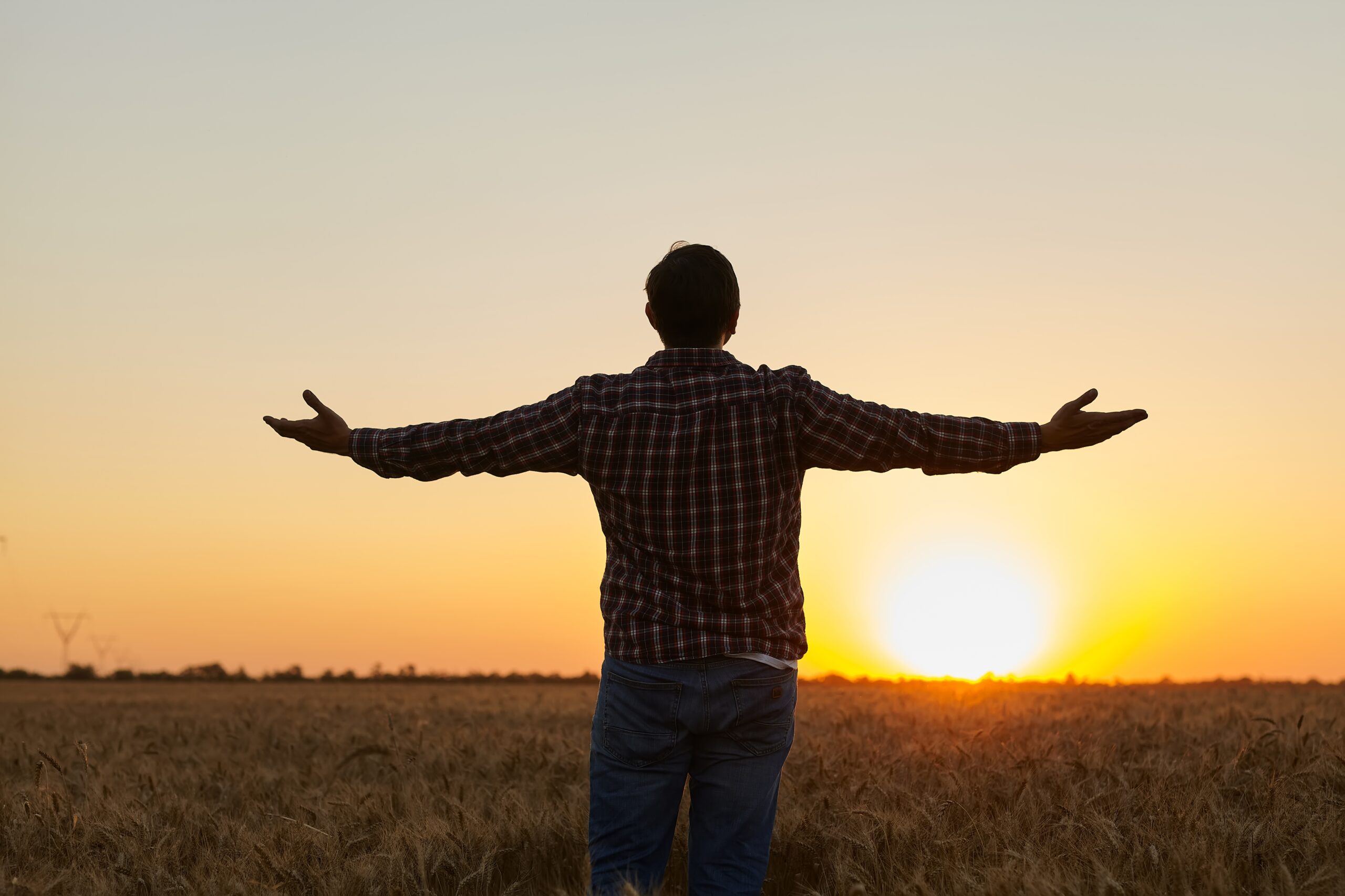 Farmer, Young handsome farmer standing in wheat field looking forward at sunset, raised his hands up towards the sun