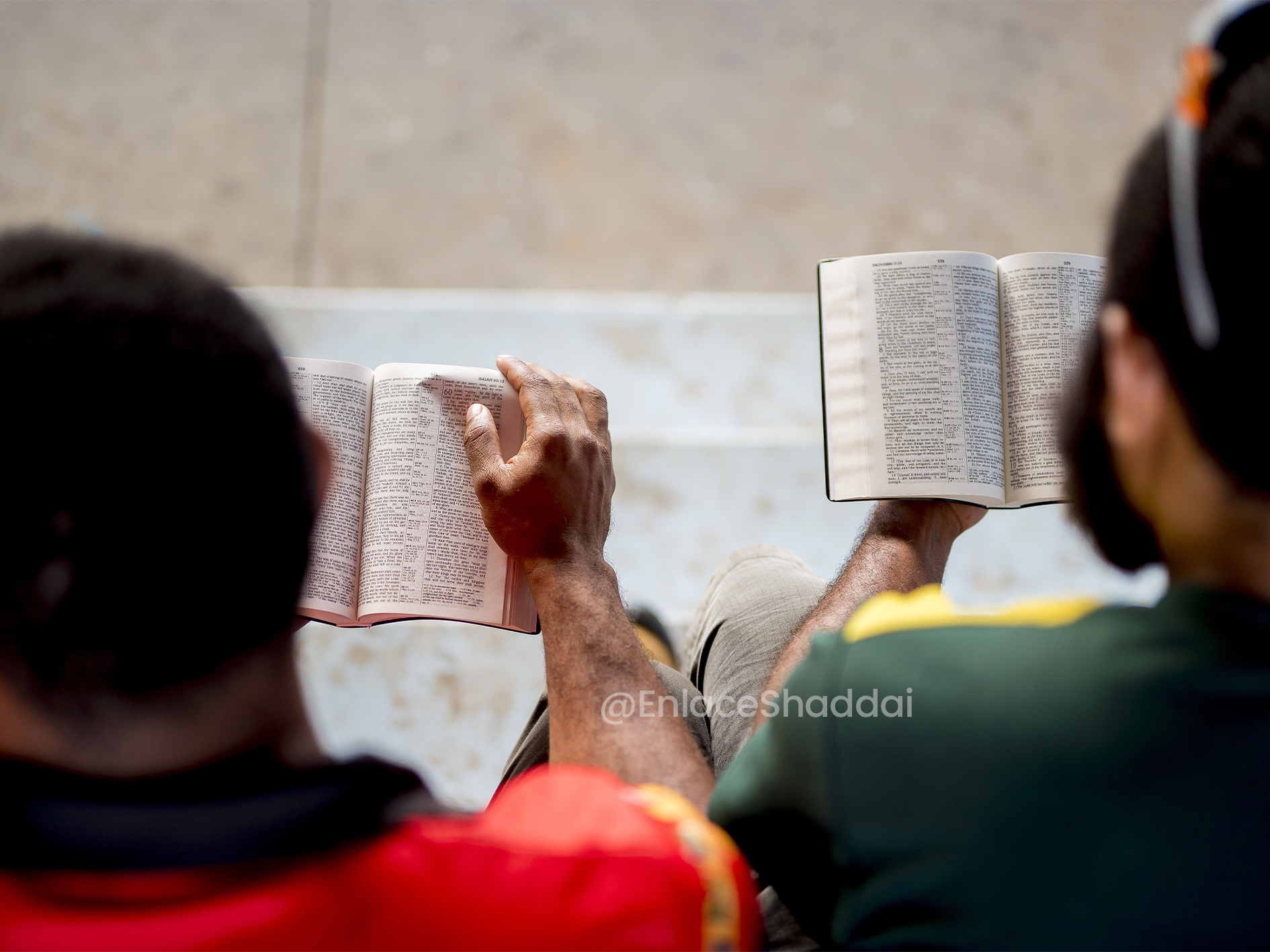 overhead-shot-of-people-sitting-and-reading-the-bi-2023-11-27-05-35-54-utc