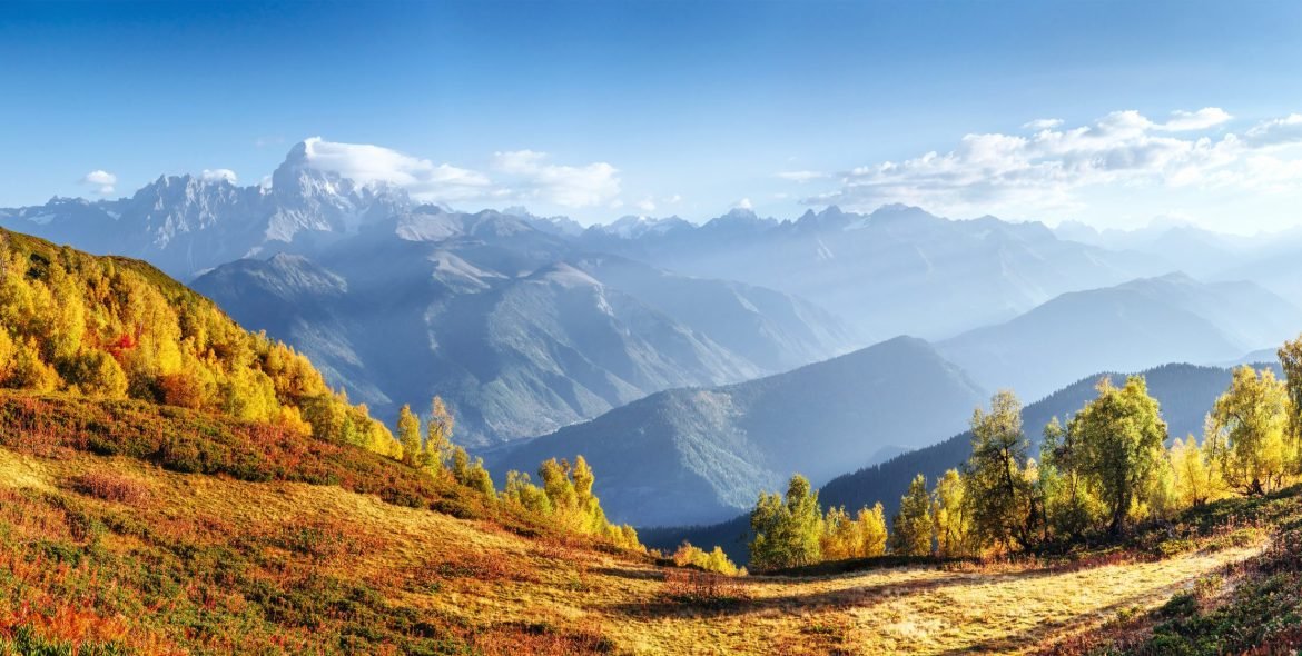 Fantastic forest in Carpathian Ukraine. There comes a golden autumn in the valleys. The red color is very beautiful beech forest
