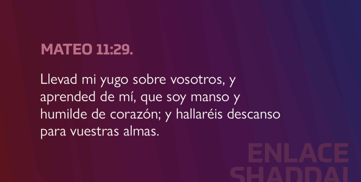 655C58E2-4B32-46B5-B3CD-E3547C58AF0E