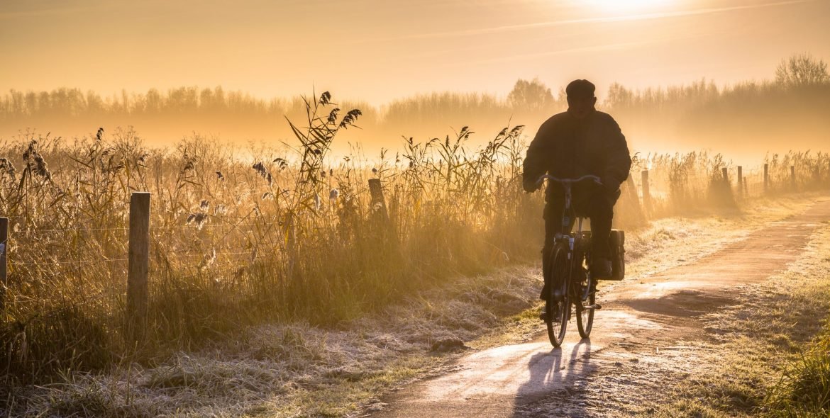 Silhouette of senior cyclist through hazy early morning rural landscape at sunrise