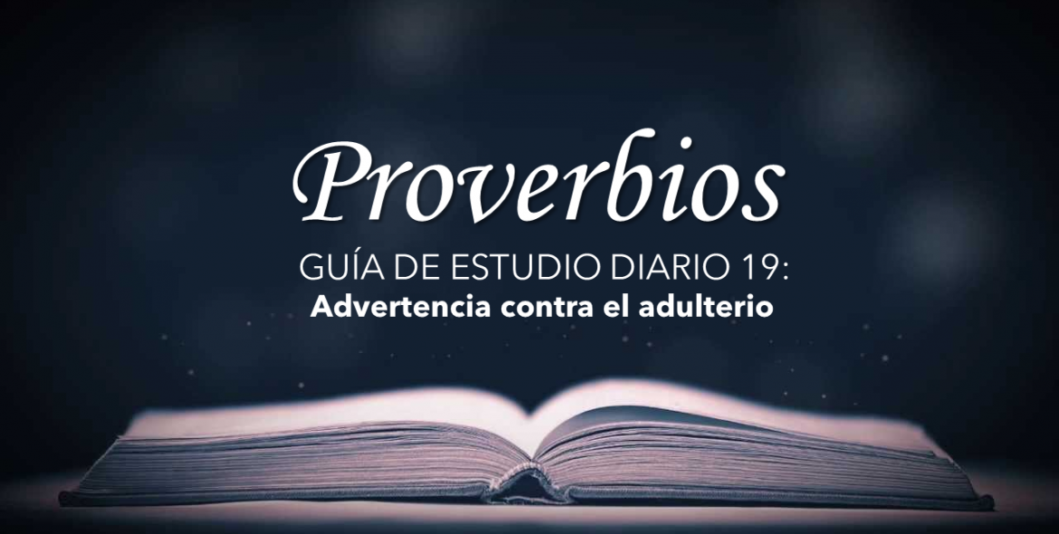 Domingo 15 nov