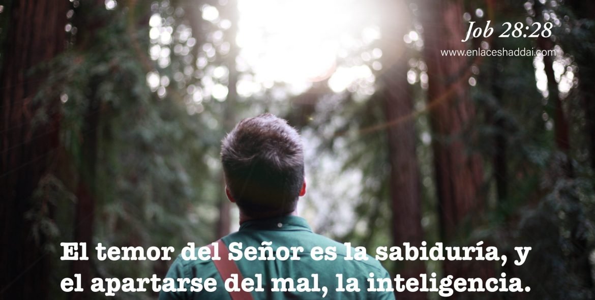 F5E6D688-5982-4C29-A722-9F1F2511628B