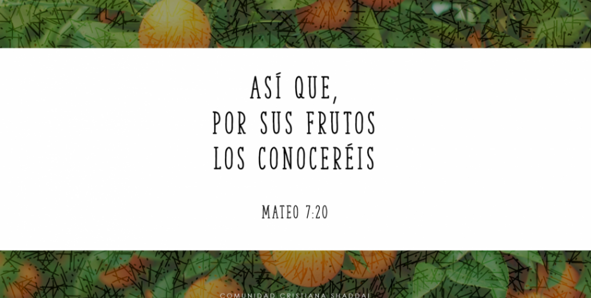 Mateo 7:20