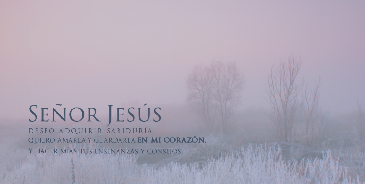Proverbios 4: 5 - 6