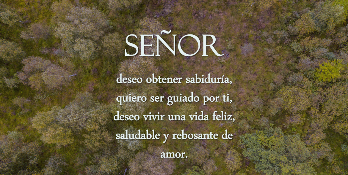 Proverbios 3: 13 -14