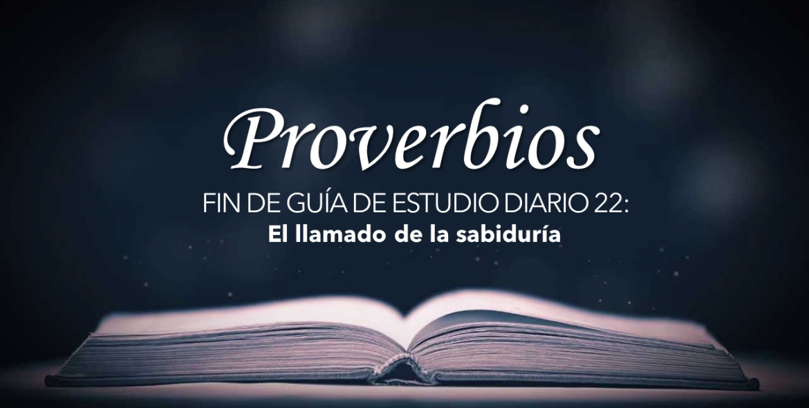 Sábado 12 dic