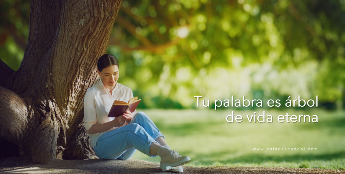 Proverbios 3:18