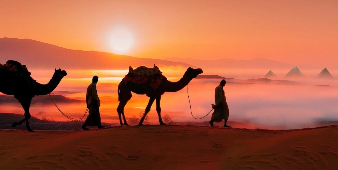 camels-7202710_1920-1