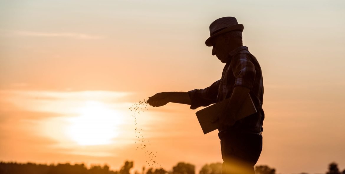 profile of senior farmer in straw hat sowing seeds during sunset