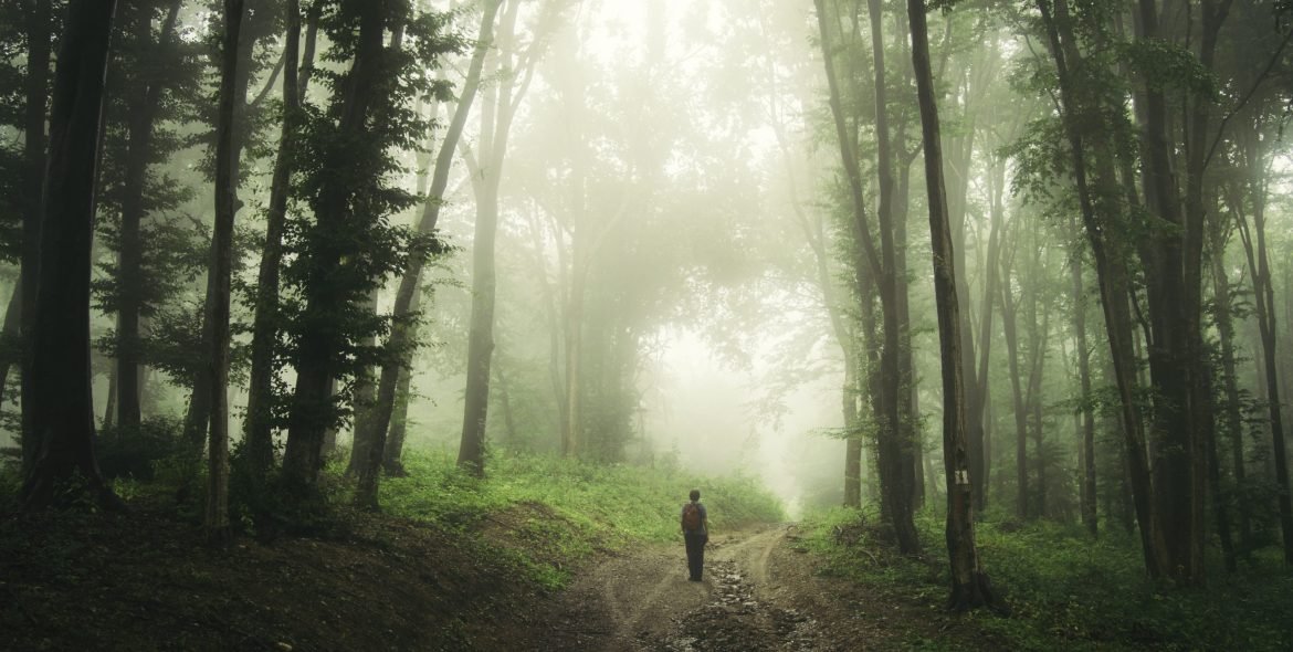 road-through-dark-mysterious-enchanted-forest-with-P9W4RPZ