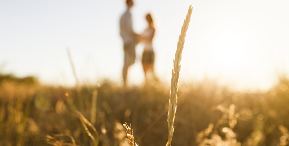 Silhouette of grass straw, couple in the background