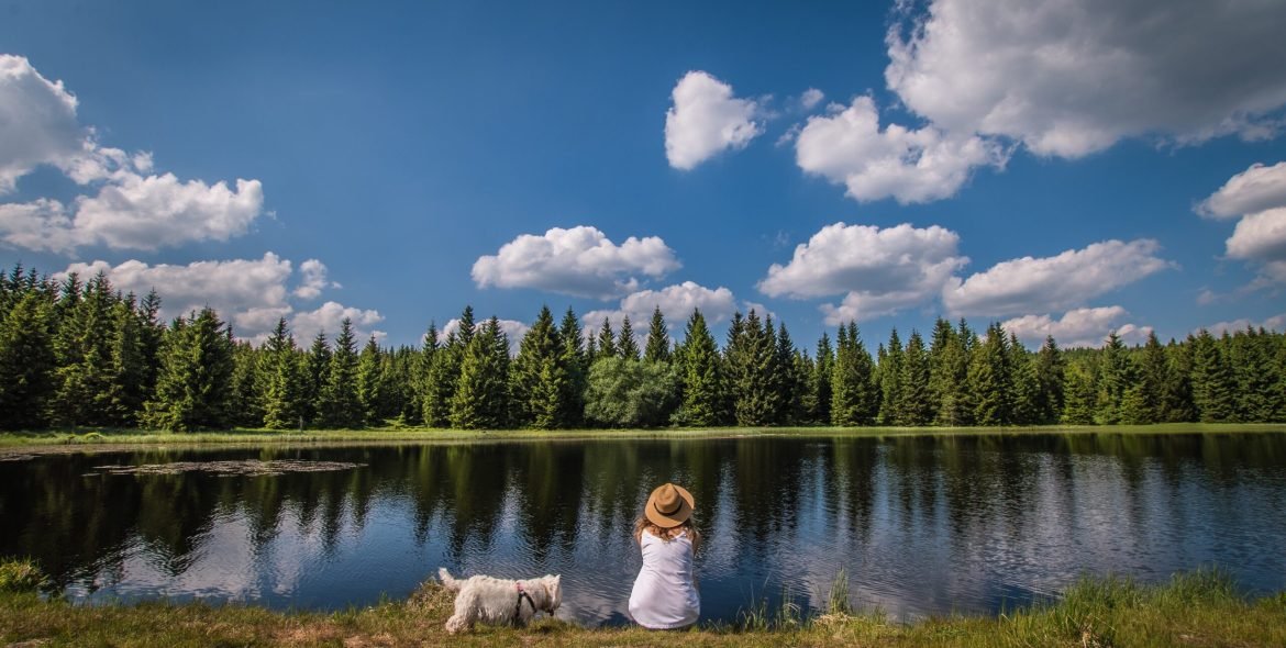 thinking-2022-03-30-04-31-05-utc 2